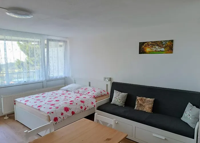 Petr Sankt Englmar, Bayerische Wald Appartement *